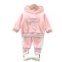 Baby Fleece Velour Hoodie Set - Pink