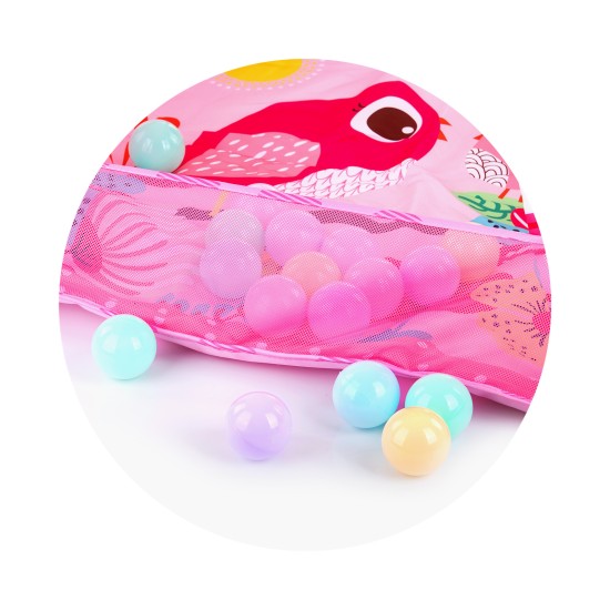 Γυμναστήριο Μωρού Birdie pink