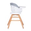 Καρεκλάκι Φαγητού Περιστρεφόμενο 3 σε 1 Rotto platinum