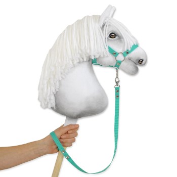 Tether for hobby horse made of webbing tape - mint