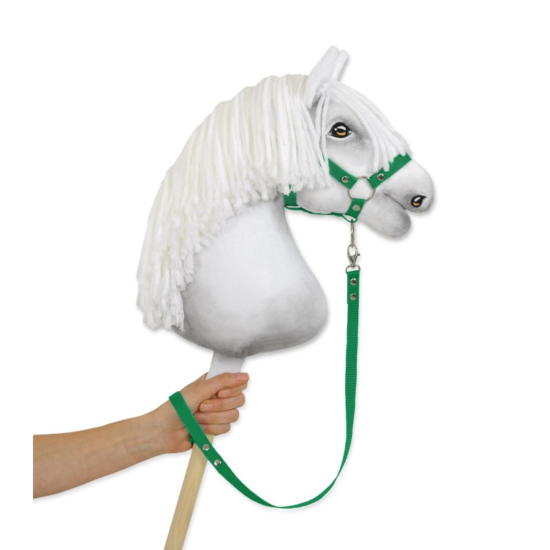 Tether for hobby horse made of webbing tape - green